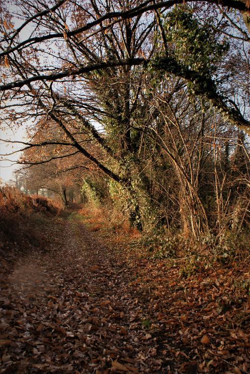 Chateau De La Chasse-Guerre Panzió Hardanges Kültér fotó