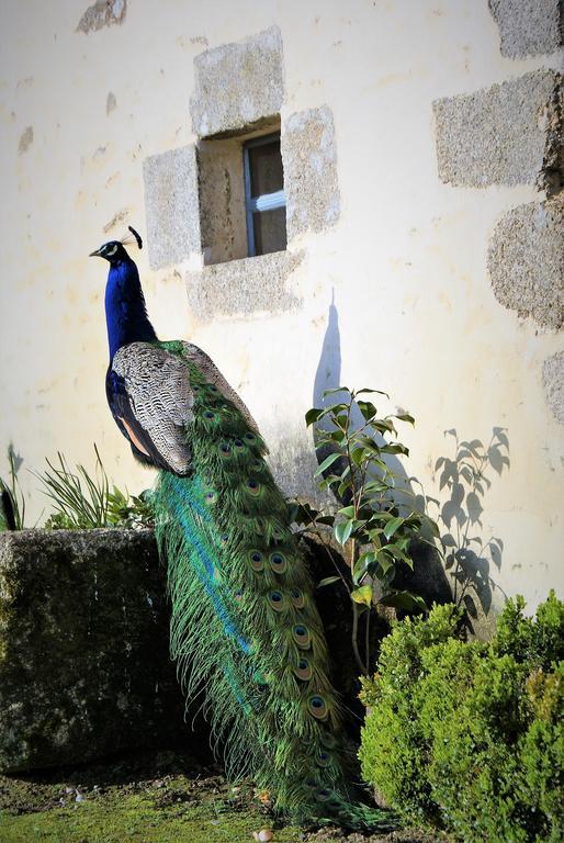 Chateau De La Chasse-Guerre Panzió Hardanges Kültér fotó